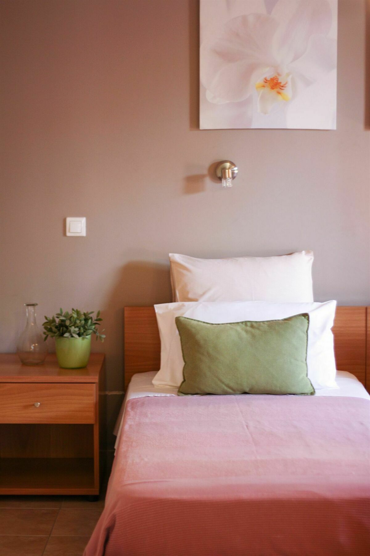 Akis Apartments パレオカストリッツア エクステリア 写真